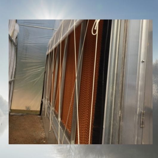 Greenhouse Sidewall Curtains